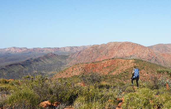 Larapinta Trail 2025